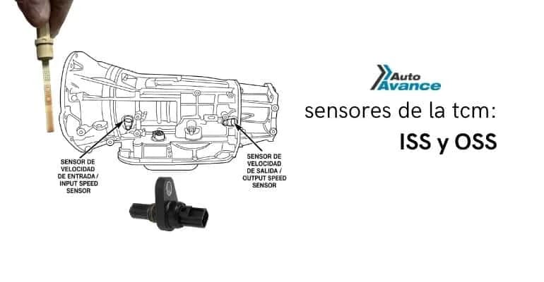 sensores-de-la-tcm