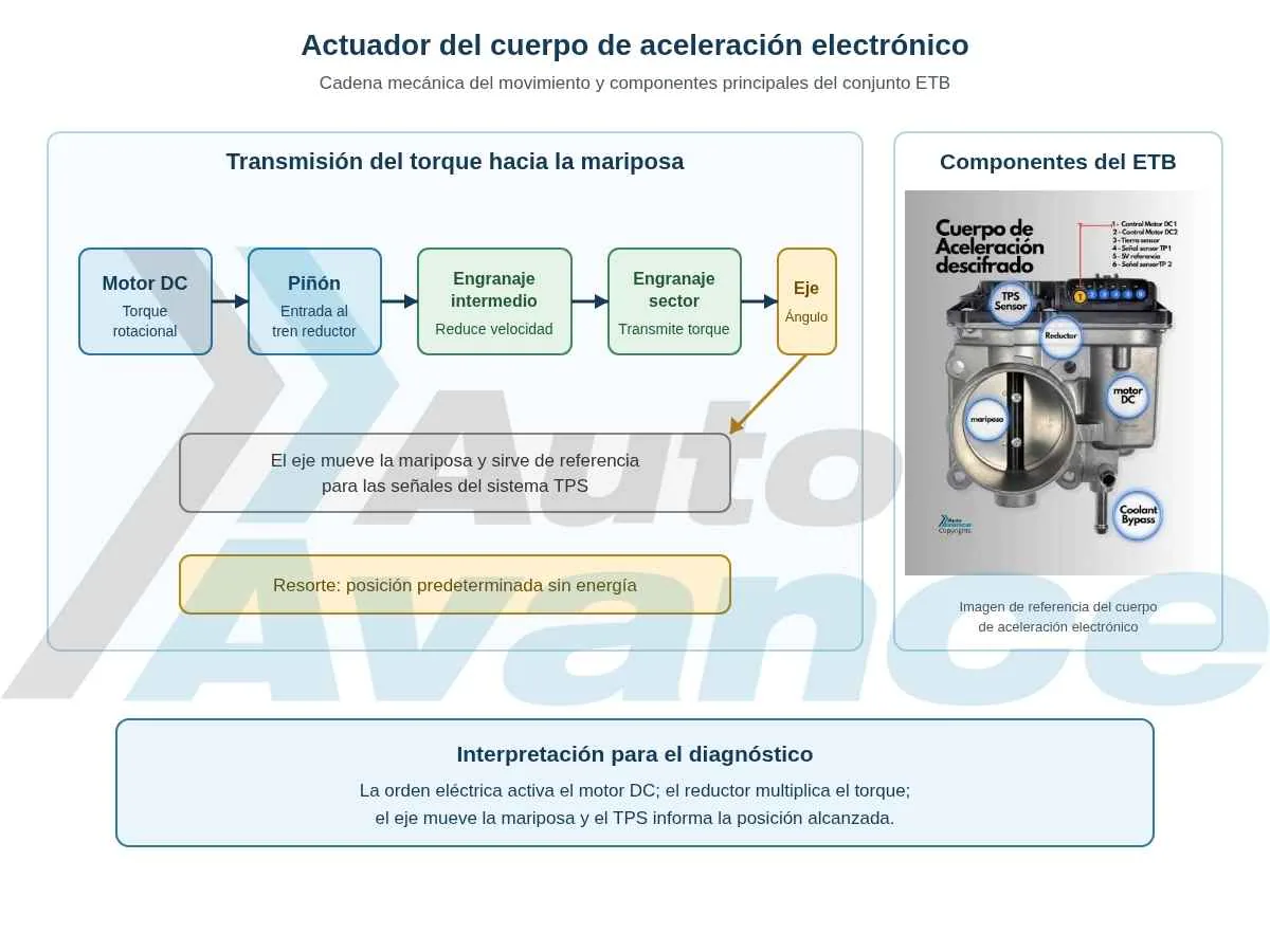 actuador-del-cuerpo-de-aceleración-electrónico